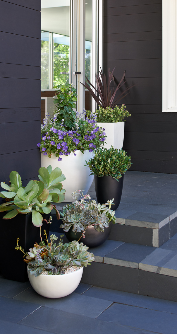 732909_084150802_HomPlanters