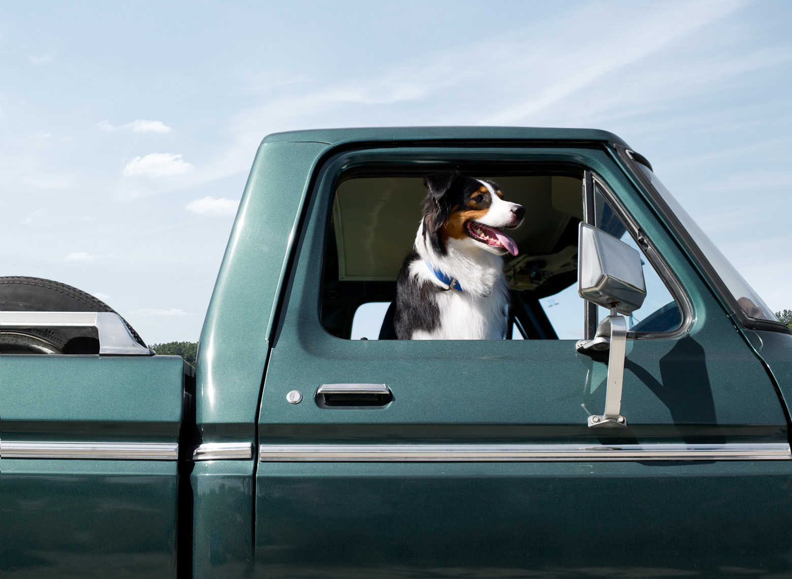 Dog_022.jpg