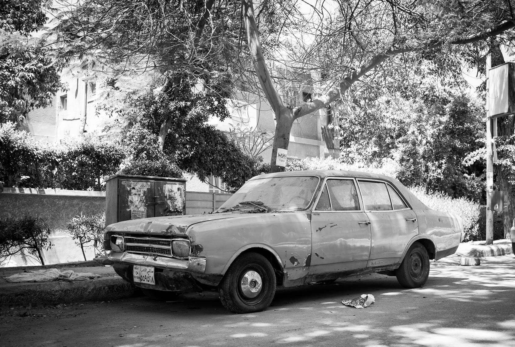 EGYPT_4538